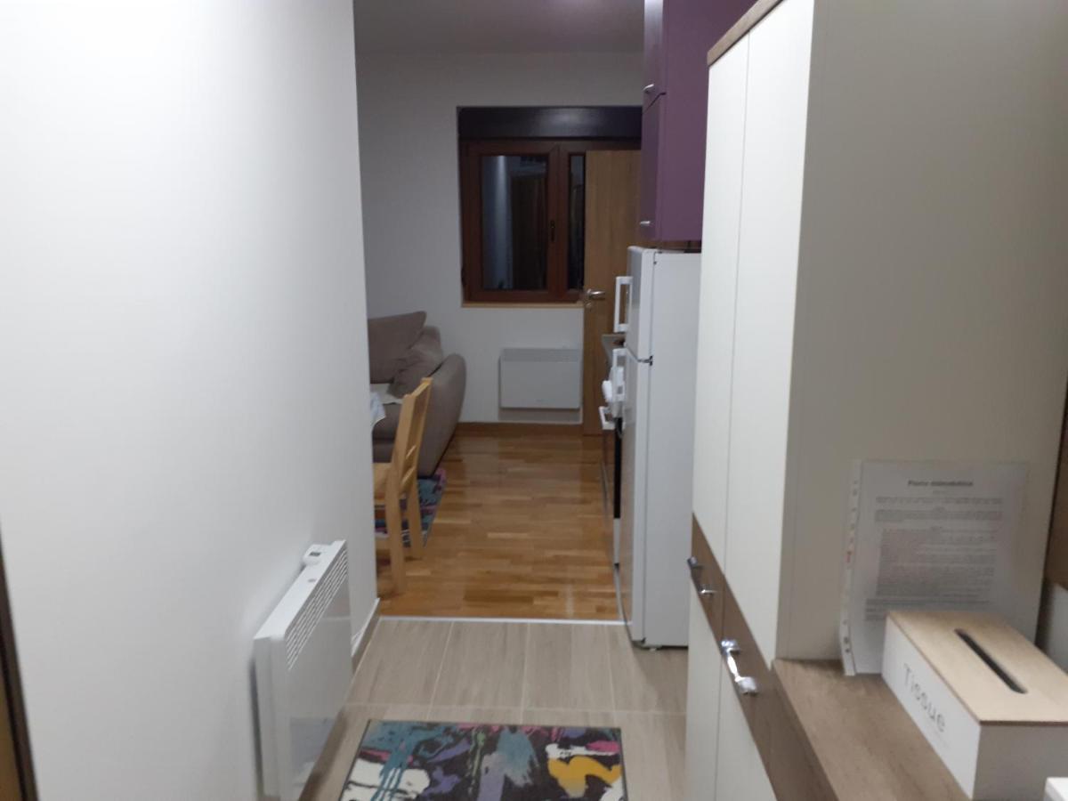 Markovic Apartment *